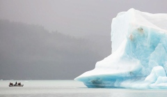 Trip to the icebergs