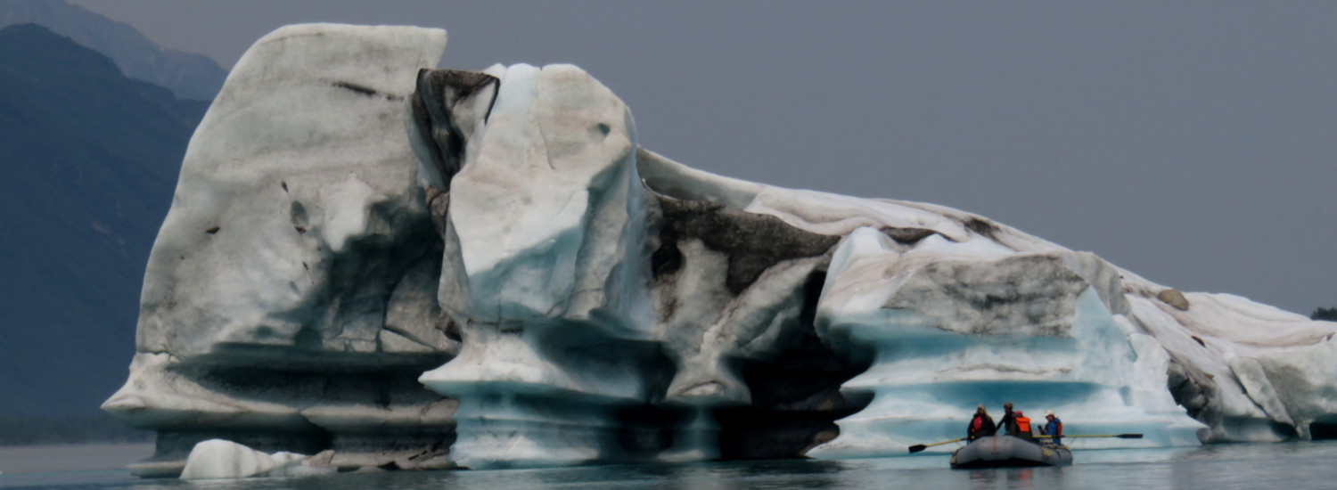 Icebergs on Alsek Lake 